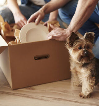 people packing moving box with dog on the side