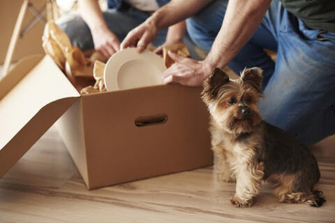 people packing moving box with dog on the side