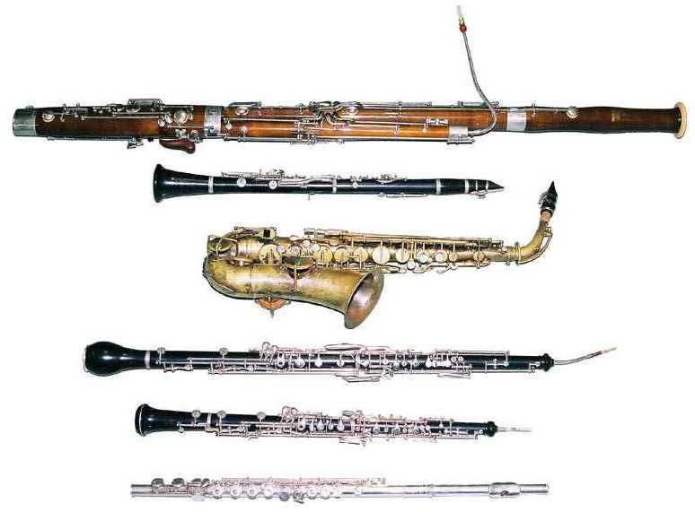 Гобой труба кларнет. Деревянные духовые инструменты флейта кларнет гобой Фагот. Флейта гобой кларнет Фагот. Фагот духовой музыкальный инструмент. Кларнет гобой Фагот музыкальный инструмент-.