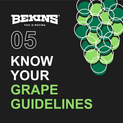 Grape graphic with the words "know your grape guidelines".