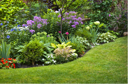 Colorful flowers lining a freshly-trimmed lawn.