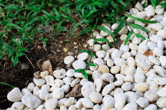 Decorative rock boundary in backyard garden. 